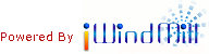 iWindmill Consulting Services